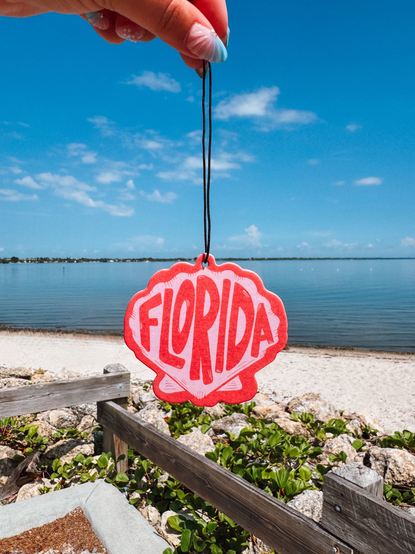 florida!!! scallop shell air freshener