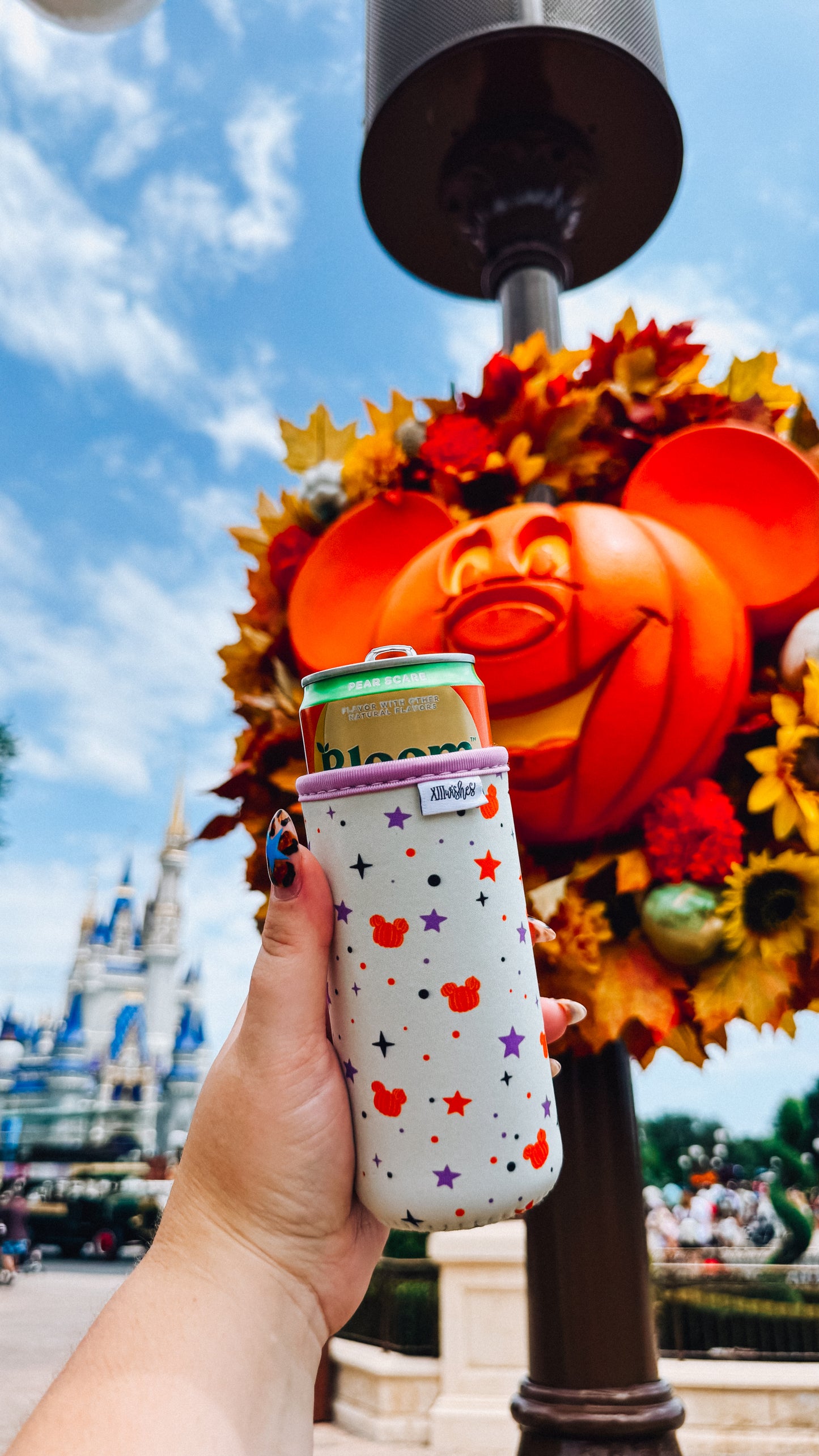 pumpkins & pixie dust slim can sleeve