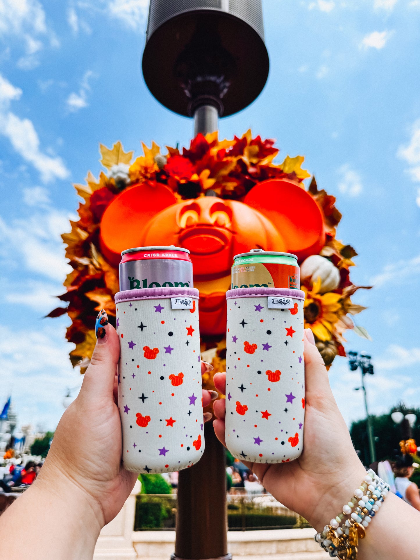 pumpkins & pixie dust slim can sleeve