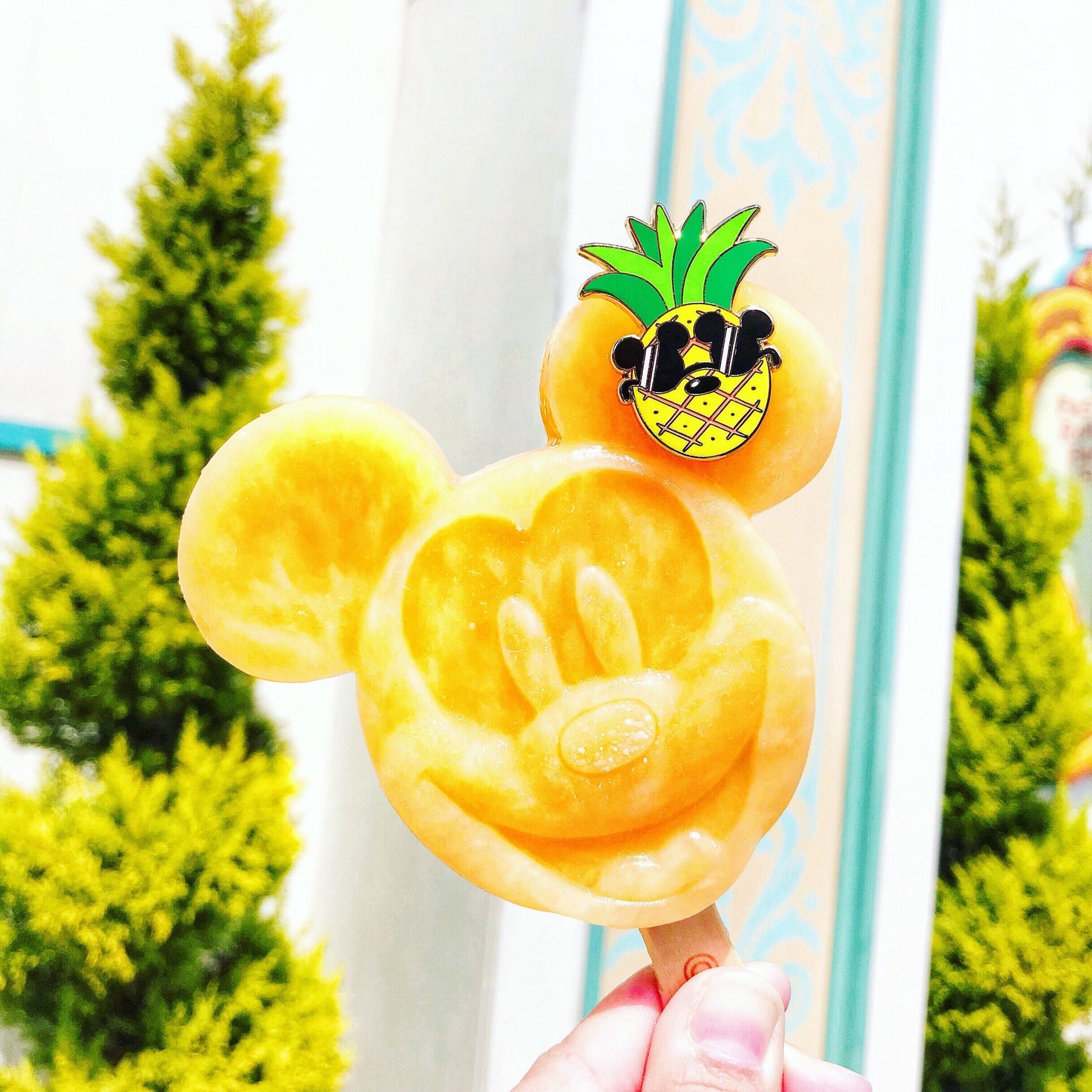 pineapple of my eye pin